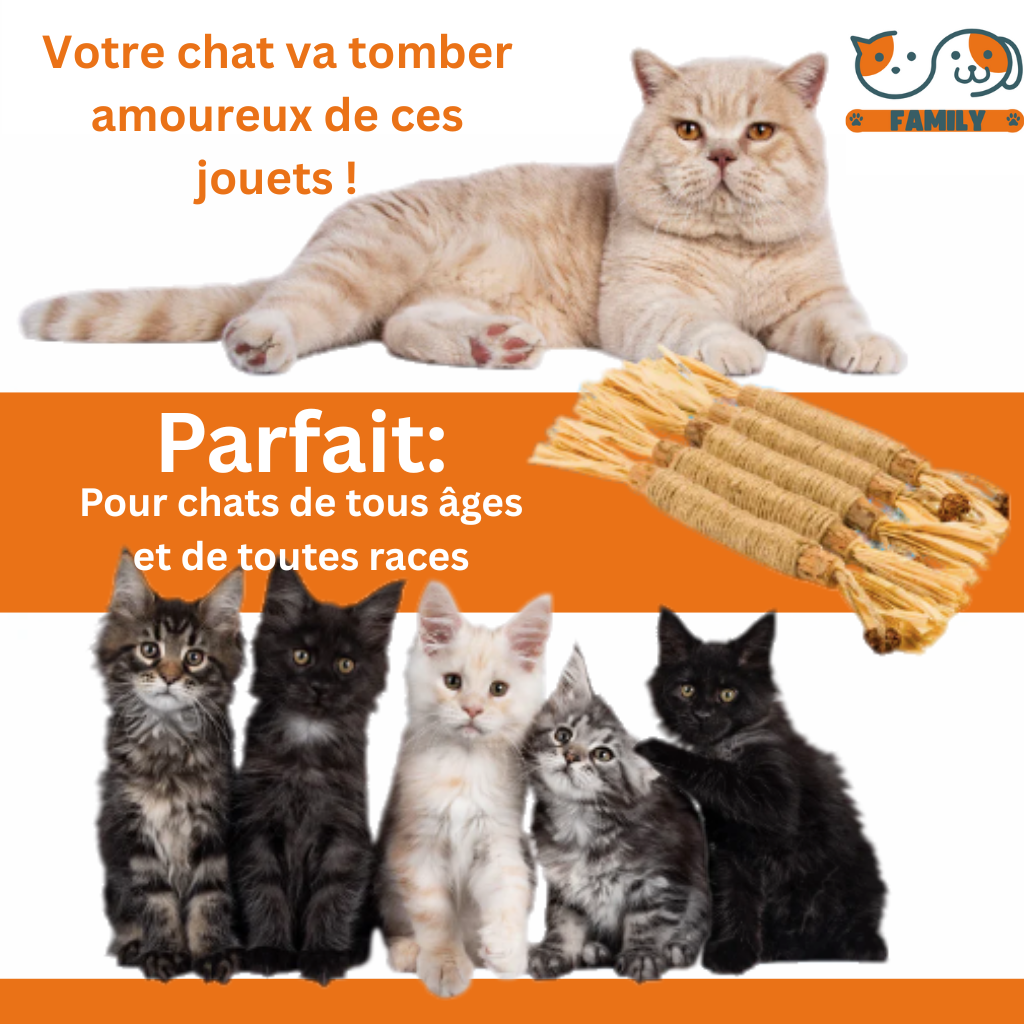 5x Bâtonnets dentaires pour Chats